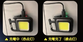 キーチェーンライト AR-4280