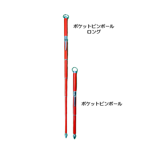 ポケットピンポール　10本